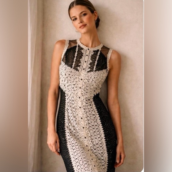 Byron Lars Lasercut Black and Cream Lace Sheath Midi Dress Kentucky Derby - Picture 2 of 13